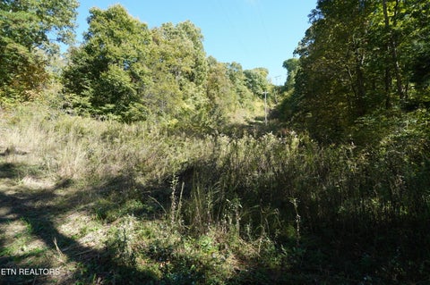 Tiny photo for Brotherton Rd, Jefferson City, TN 37760 (MLS # 1360023)
