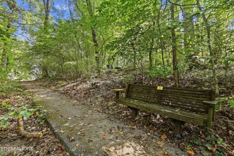 Tiny photo for 58 Pine Place, Norris, TN 37828 (MLS # 1356598)