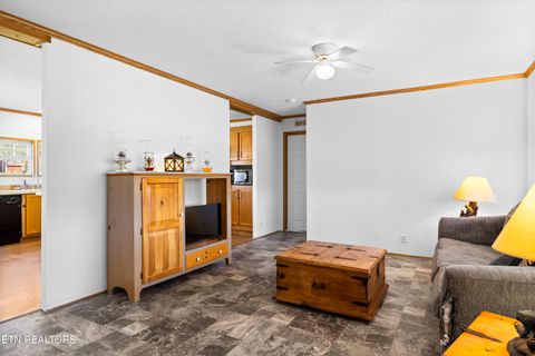 Tiny photo for 540 Farm Loop Rd, New Market, TN 37820 (MLS # 1333020)