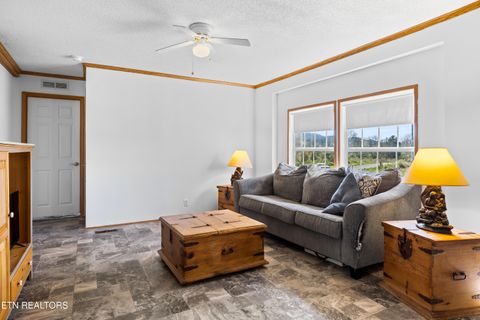 Tiny photo for 540 Farm Loop Rd, New Market, TN 37820 (MLS # 1333020)