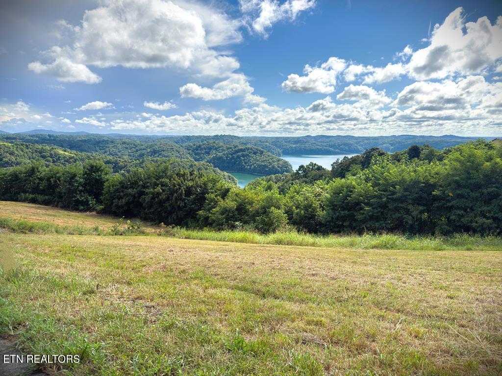 Photo of 30 Bass Road Rd, Hilham, TN 38568 (MLS # 1360506)