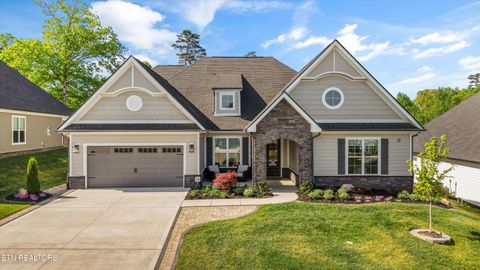 Photo of 313 Bittersweet Lane, Lenoir City, TN 37771 (MLS # 1337500)