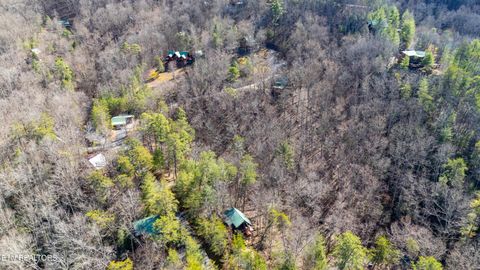 Tiny photo for 3040 Brothers Way, Pigeon Forge, TN 37862 (MLS # 1330343)