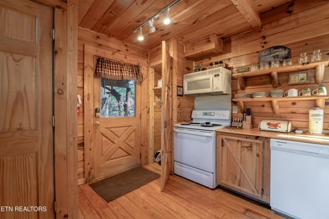 Tiny photo for 3040 Brothers Way, Pigeon Forge, TN 37862 (MLS # 1330343)