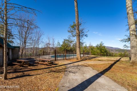 Tiny photo for 3040 Brothers Way, Pigeon Forge, TN 37862 (MLS # 1330343)