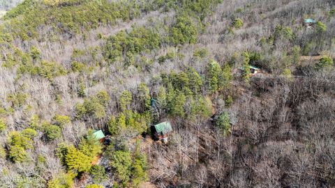 Tiny photo for 3040 Brothers Way, Pigeon Forge, TN 37862 (MLS # 1330343)