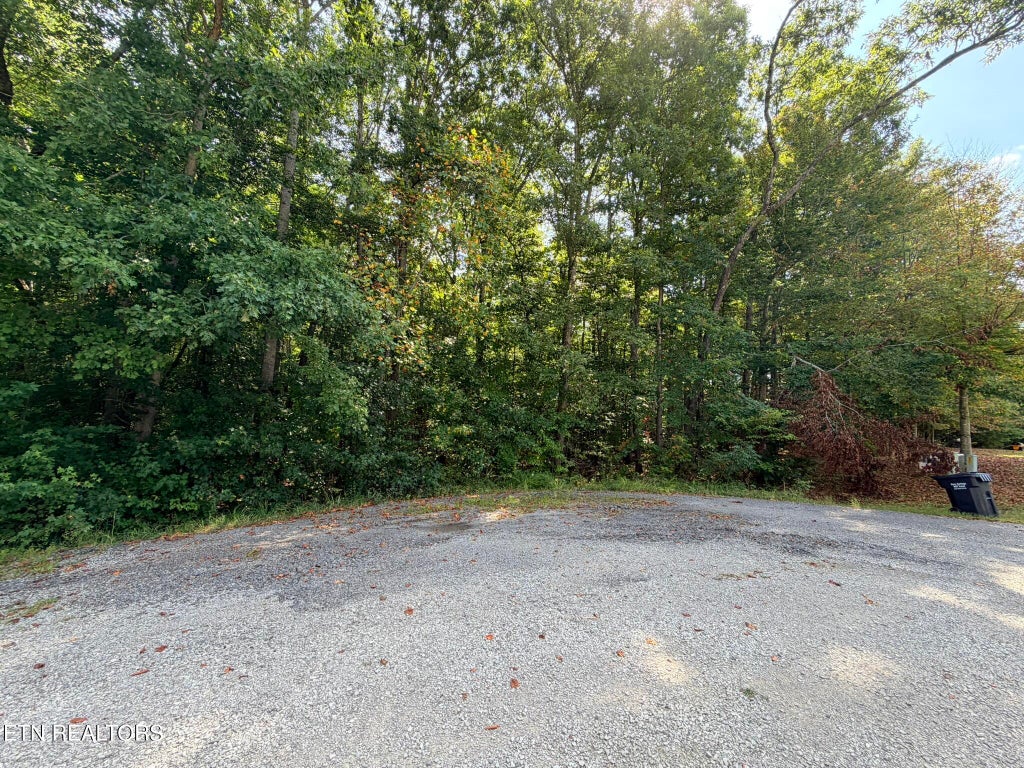 Photo of Lot 4 Evergreen Drive, Oneida, TN 37841 (MLS # 1310682)