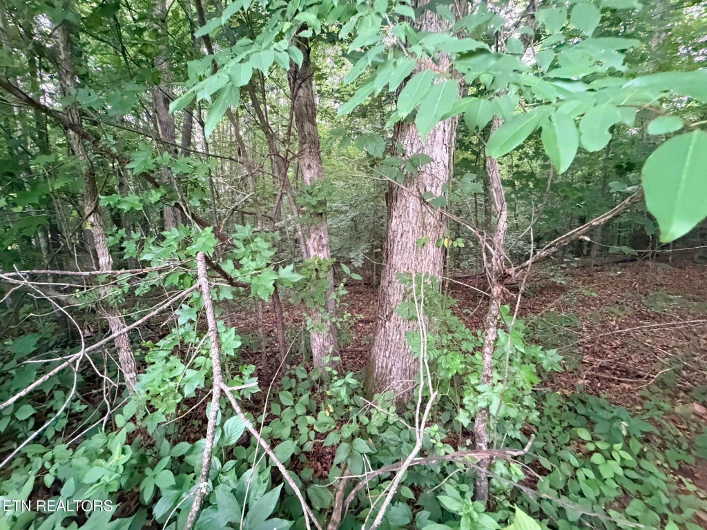 Photo of Lot 4 Evergreen Drive, Oneida, TN 37841 (MLS # 1310682)