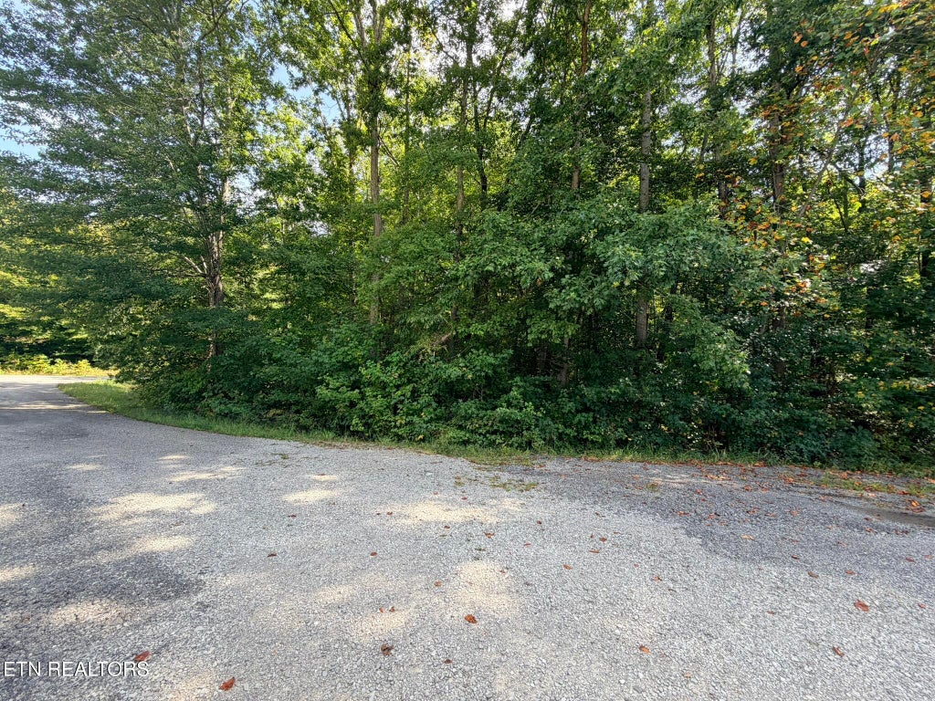 Photo of Lot 4 Evergreen Drive, Oneida, TN 37841 (MLS # 1310682)