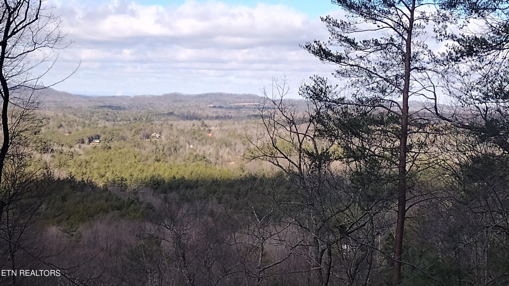 Photo of 139 Rivendell, Tellico Plains, TN 37385 (MLS # 1250551)