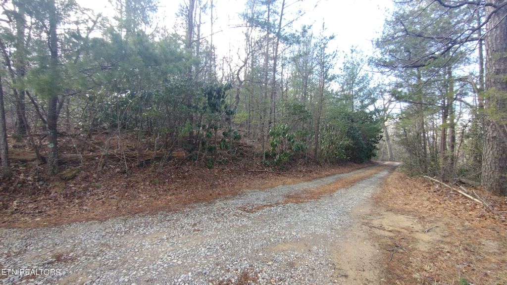 Photo of 139 Rivendell, Tellico Plains, TN 37385 (MLS # 1250551)