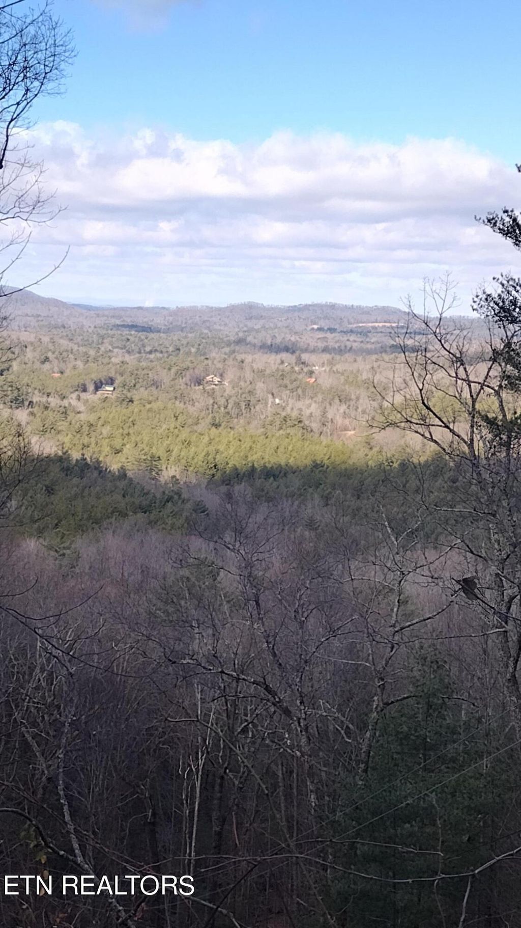 Photo of 139 Rivendell, Tellico Plains, TN 37385 (MLS # 1250551)