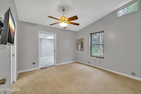 Tiny photo for 119 Stonewall Way, Cosby, TN 37722 (MLS # 1321509)