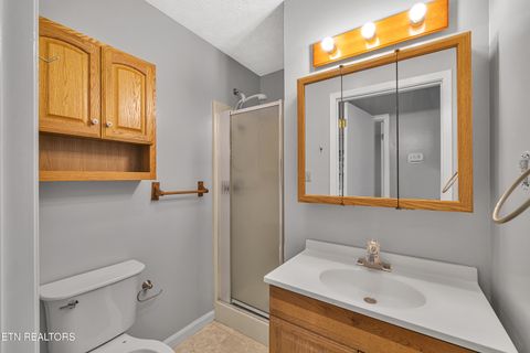 Tiny photo for 119 Stonewall Way, Cosby, TN 37722 (MLS # 1321509)