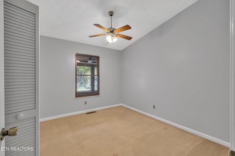 Tiny photo for 119 Stonewall Way, Cosby, TN 37722 (MLS # 1321509)