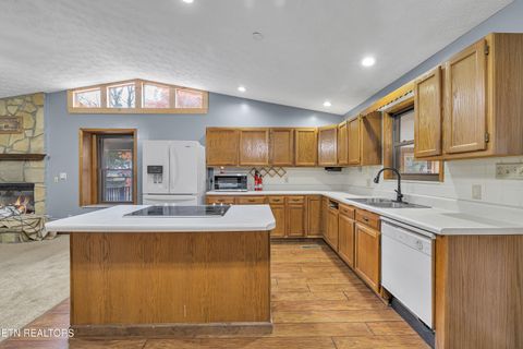 Tiny photo for 119 Stonewall Way, Cosby, TN 37722 (MLS # 1321509)