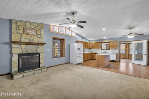 Tiny photo for 119 Stonewall Way, Cosby, TN 37722 (MLS # 1321509)