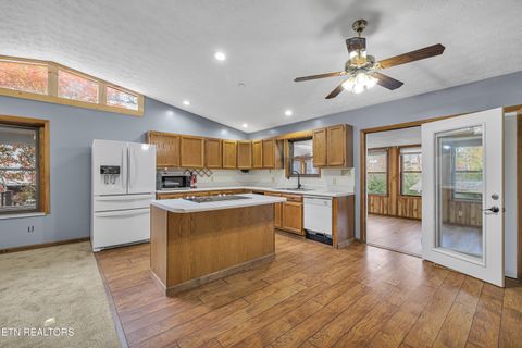 Tiny photo for 119 Stonewall Way, Cosby, TN 37722 (MLS # 1321509)