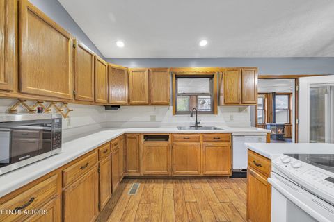 Tiny photo for 119 Stonewall Way, Cosby, TN 37722 (MLS # 1321509)