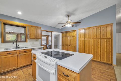 Tiny photo for 119 Stonewall Way, Cosby, TN 37722 (MLS # 1321509)