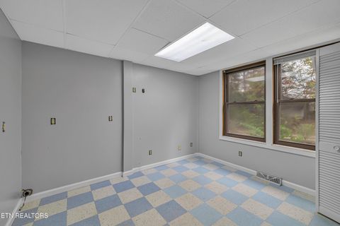 Tiny photo for 119 Stonewall Way, Cosby, TN 37722 (MLS # 1321509)