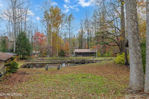 Tiny photo for 119 Stonewall Way, Cosby, TN 37722 (MLS # 1321509)