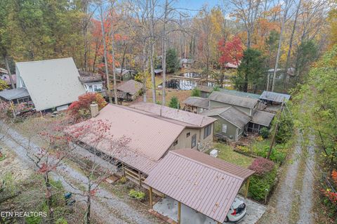 Tiny photo for 119 Stonewall Way, Cosby, TN 37722 (MLS # 1321509)