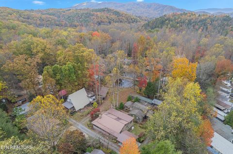 Tiny photo for 119 Stonewall Way, Cosby, TN 37722 (MLS # 1321509)