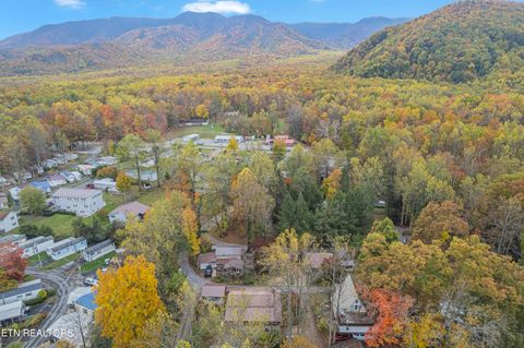 Tiny photo for 119 Stonewall Way, Cosby, TN 37722 (MLS # 1321509)