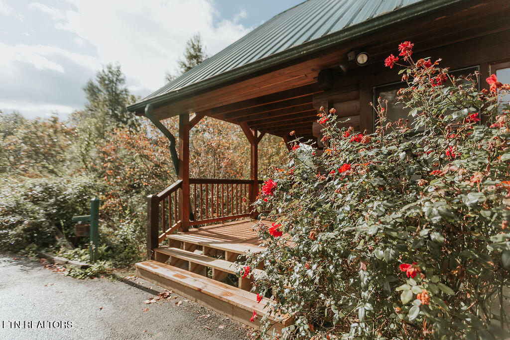 322 Brown Wren Way