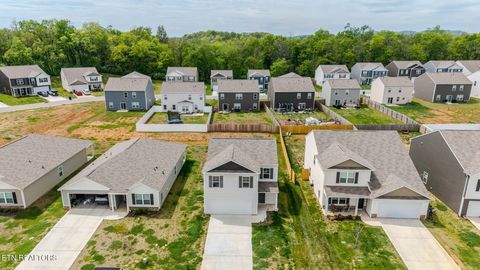 Tiny photo for 9518 River Cane Rd, Mascot, TN 37806 (MLS # 1336863)