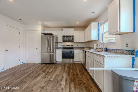 Tiny photo for 9518 River Cane Rd, Mascot, TN 37806 (MLS # 1336863)