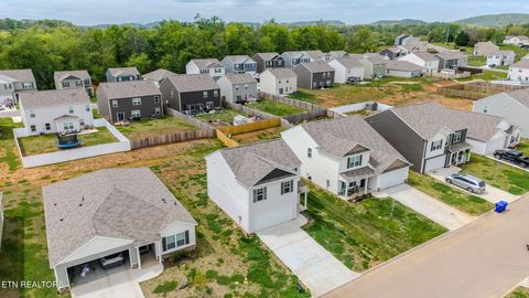 Tiny photo for 9518 River Cane Rd, Mascot, TN 37806 (MLS # 1336863)