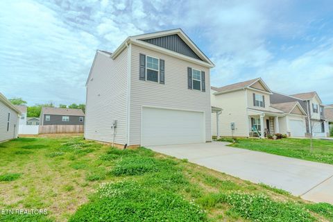 Tiny photo for 9518 River Cane Rd, Mascot, TN 37806 (MLS # 1336863)