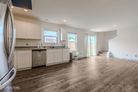 Tiny photo for 9518 River Cane Rd, Mascot, TN 37806 (MLS # 1336863)