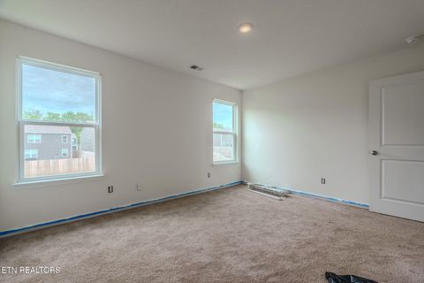 Tiny photo for 9518 River Cane Rd, Mascot, TN 37806 (MLS # 1336863)