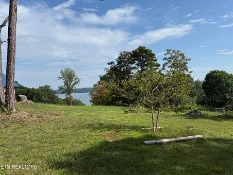 Tiny photo for 165 Robin Hood Lane, Rutledge, TN 37861 (MLS # 1349966)