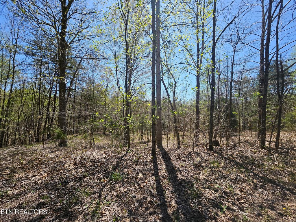 Photo of 170 Bluff View Rd, New Tazewell, TN 37825 (MLS # 1340011)