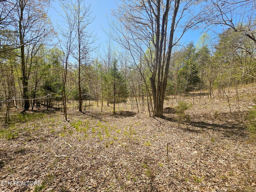 Photo of 170 Bluff View Rd, New Tazewell, TN 37825 (MLS # 1340011)