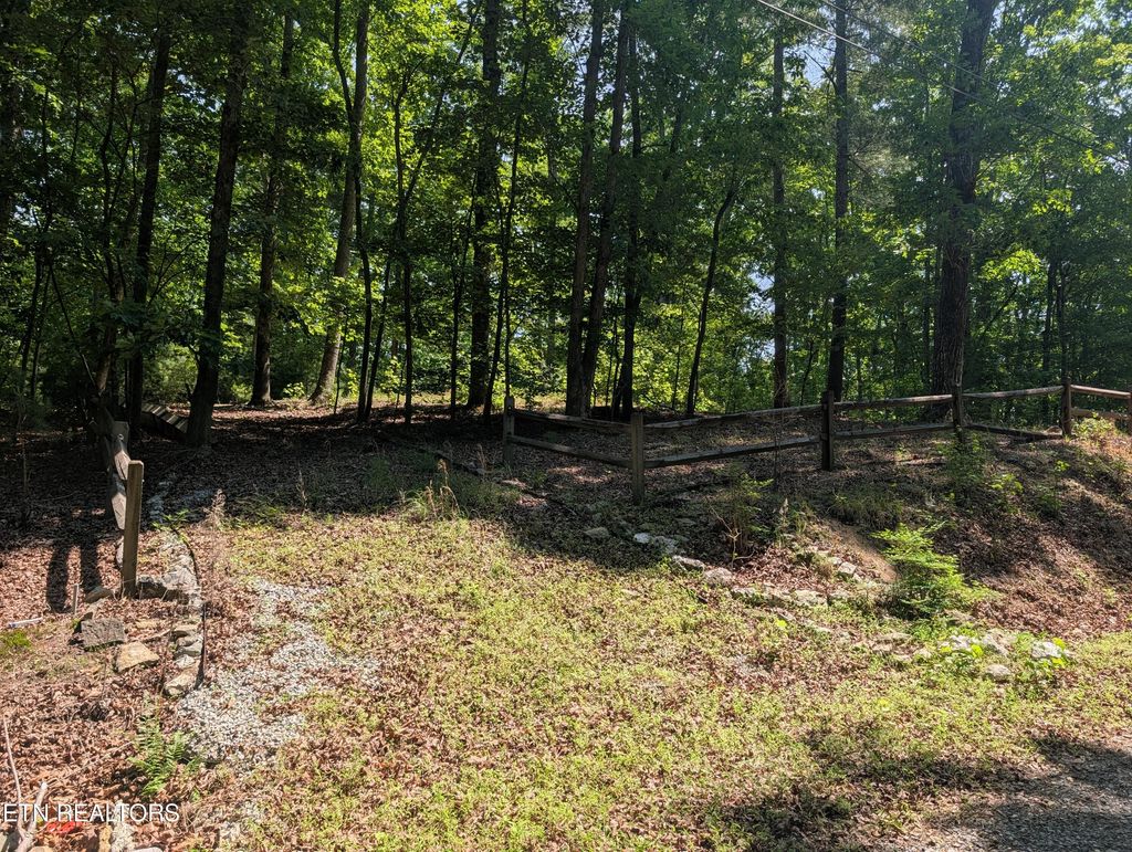 Photo of 190 Fawnwood Drive, Spring City, TN 37381 (MLS # 1341584)