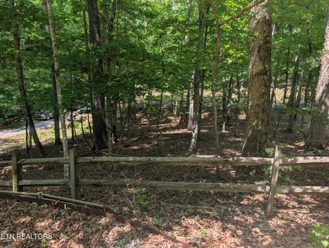 Tiny photo for 190 Fawnwood Drive, Spring City, TN 37381 (MLS # 1341584)