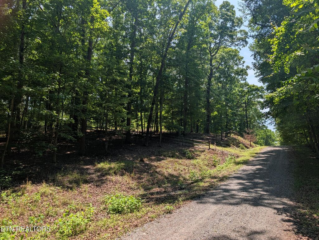 Photo of 190 Fawnwood Drive, Spring City, TN 37381 (MLS # 1341584)
