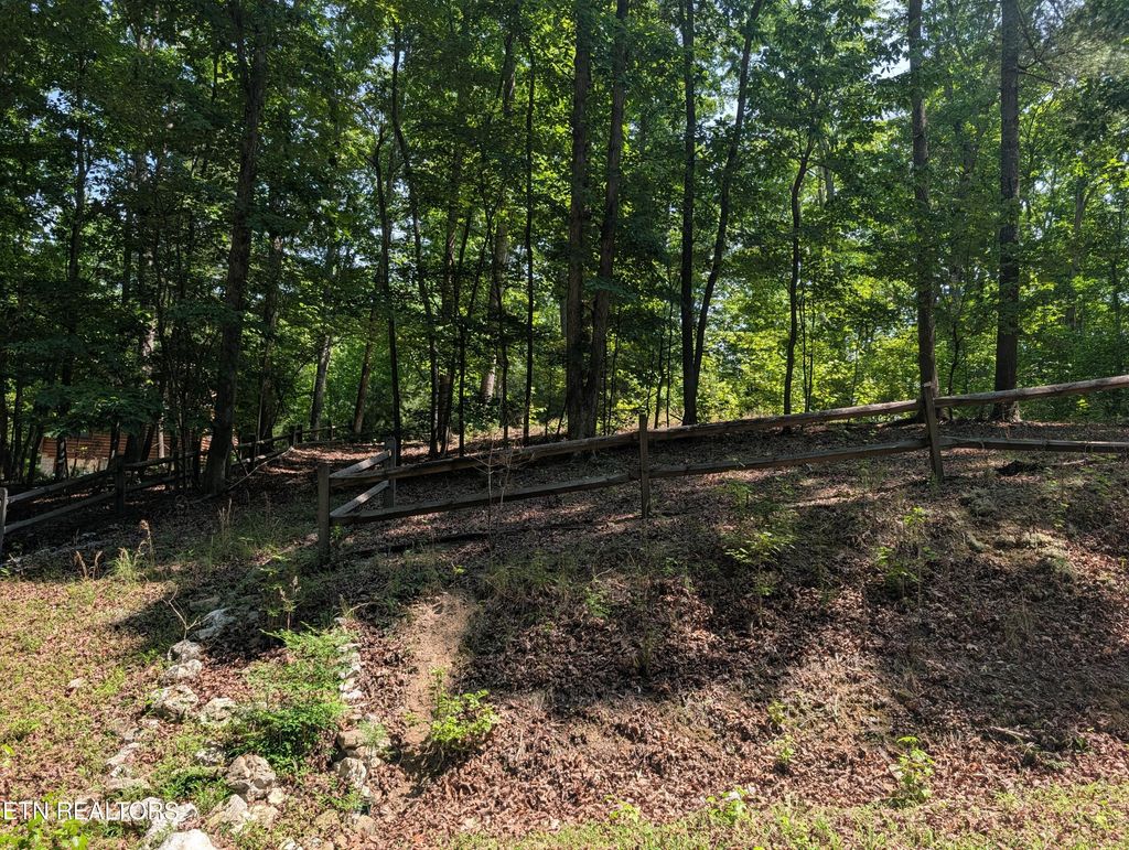 Photo of 190 Fawnwood Drive, Spring City, TN 37381 (MLS # 1341584)