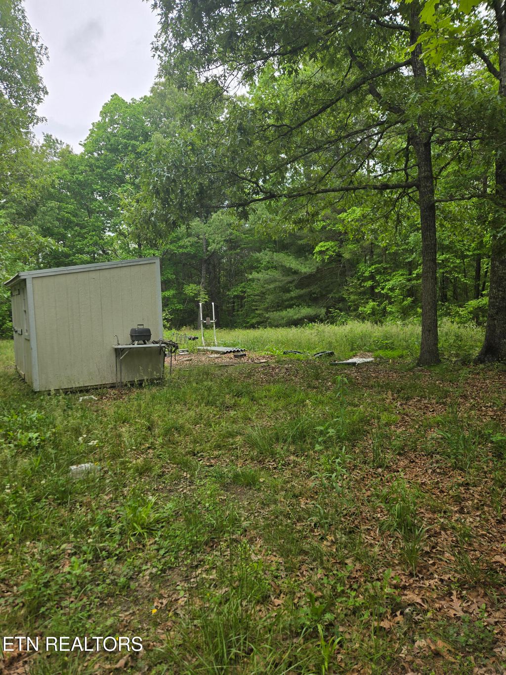 Photo of 182 Huse Potter Rd, Lancing, TN 37770 (MLS # 1319487)