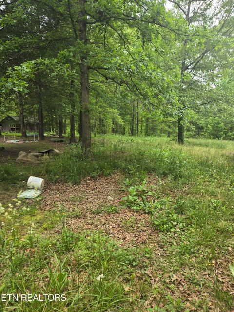 Tiny photo for 182 Huse Potter Rd, Lancing, TN 37770 (MLS # 1319487)