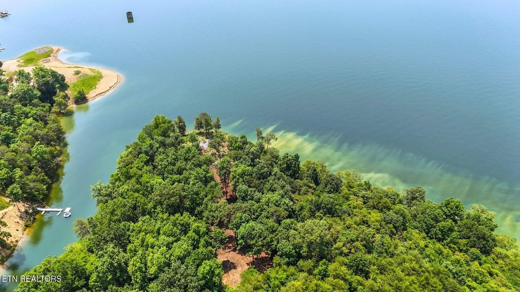 Photo of 1039 Sunny Court, Baneberry, TN 37890 (MLS # 1307675)