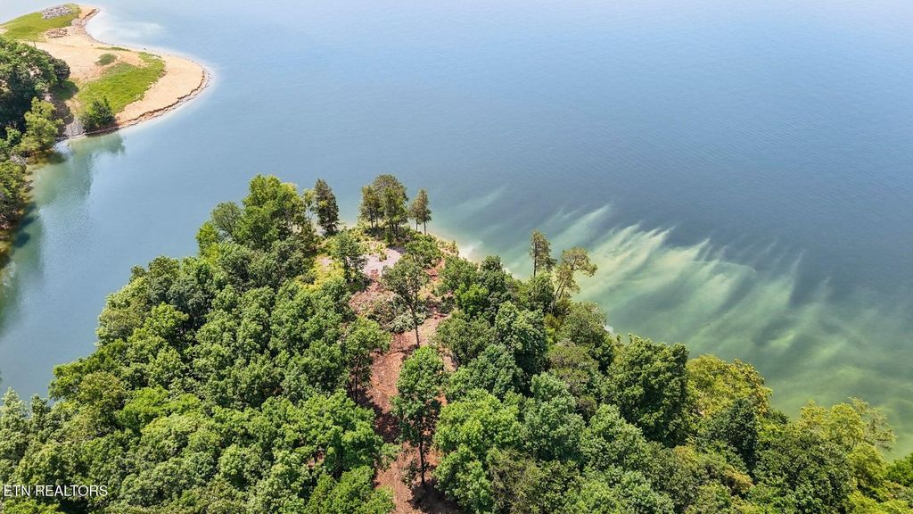 Photo of 1039 Sunny Court, Baneberry, TN 37890 (MLS # 1307675)