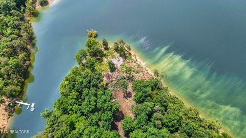 1039 Sunny Court Baneberry TN 37890