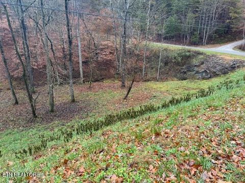 Tiny photo for Lot 13/14 Highland Tr, Sharps Chapel, TN 37866 (MLS # 1322791)