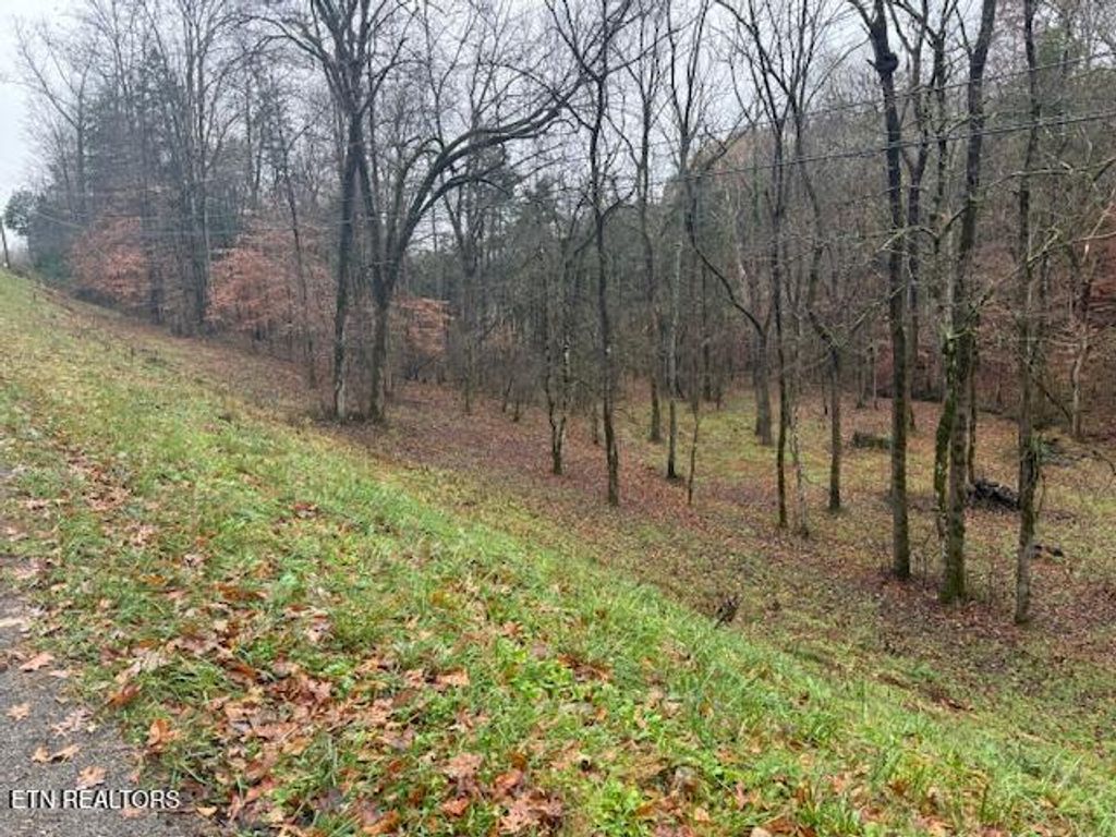 Photo of Lot 13/14 Highland Tr, Sharps Chapel, TN 37866 (MLS # 1322791)